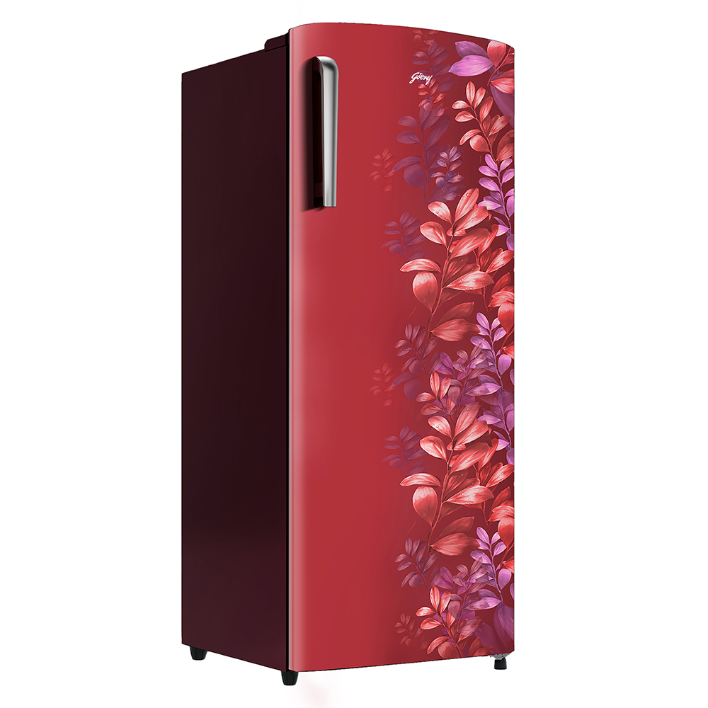 Godrej 245 Liter Single Door Refrigerator (RDEMARVEL 260C EXP THI AR WN) model RDEMARVEL 260C EXP THI AR WN front view - GharOne Nepal view 3